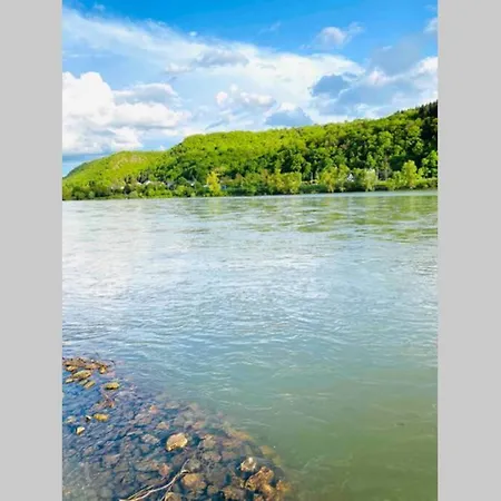Historisches Haus direkt am Rhein Ferienhaus *