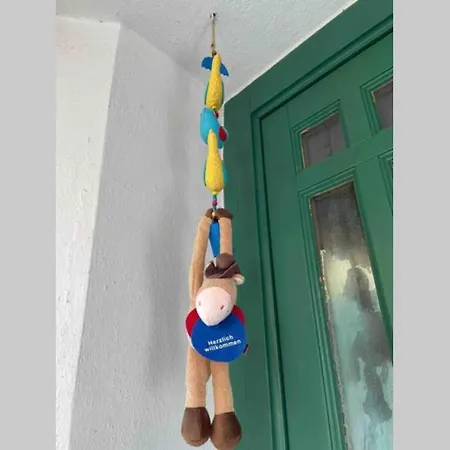 Historisches Haus direkt am Rhein Ferienhaus Sankt Goarshausen