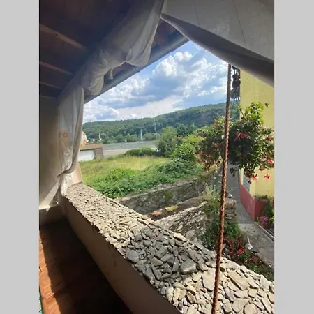 Historisches Haus direkt am Rhein