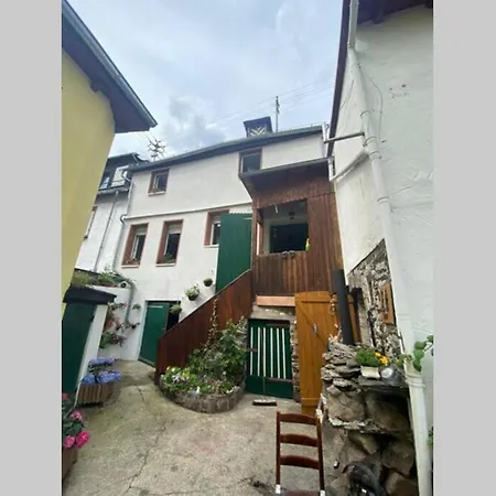 Ferienhaus Historisches Haus direkt am Rhein