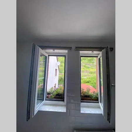Historisches Haus direkt am Rhein *