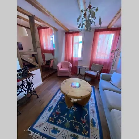 Historisches Haus direkt am Rhein Ferienhaus