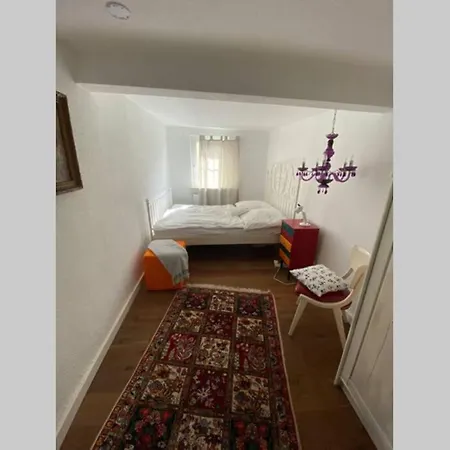 Historisches Haus direkt am Rhein Ferienhaus *