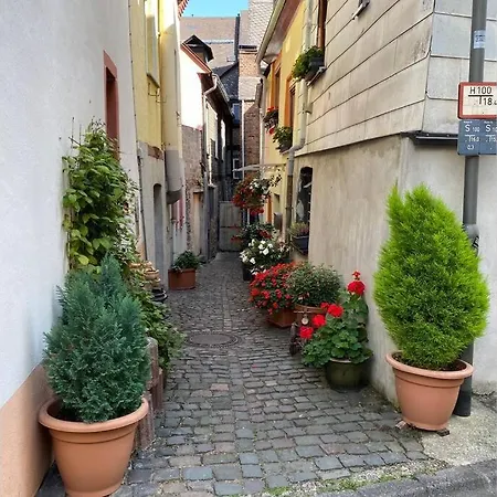 Ferienhaus Historisches Haus direkt am Rhein Sankt Goarshausen