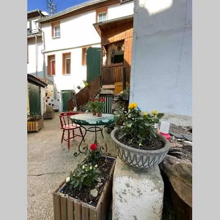 Historisches Haus direkt am Rhein