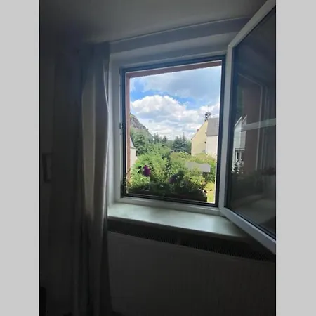 Ferienhaus Historisches Haus direkt am Rhein *